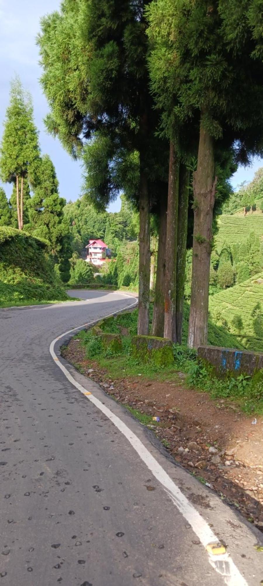 Lotus Homestay Darjeeling  Exterior foto